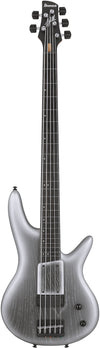 Ibanez Gary Willis 25th-anniversary Signature 5-string Fretless Electric Bass Silver Wave Burst Flat w/Padded Gig Bag