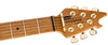 EVH Wolfgang Special T.O.M Tuna-Matic Electric Guitar Oxblood
