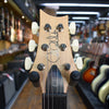 Paul Reed Smith Limited Edition CE 22 Electric Guitar 2025 Carroll Blue w/Padded Gig Bag