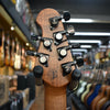 Ernie Ball Music Man Jason Richardson Artist Series Cutlass Electric Guitar Water Temple w/Mono Case