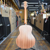 Taylor GS Mini Mahogany Acoustic Guitar w/Padded Gig Bag