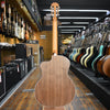Taylor 214ce-N Nylon-string Acoustic-electric Guitar w/Padded Gig Bag