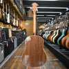 Taylor Gold Label 717e Acoustic-electric Guitar Sunburst with Firestripe Pickguard, Hard Case