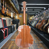 Taylor Gold Label 514e SB Acoustic-electric Guitar Sunburst w/Cream Pickguard, Hard Case