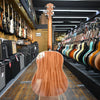 Taylor Gold Label 517e Acoustic-electric Guitar Blacktop w/Hard Case