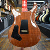 Paul Reed Smith Custom 24-08 10-Top Electric Guitar Private Stock Salmon w/Hard Case