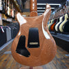 Paul Reed Smith Dany Villarreal Astryx Limited Edition 10-Top Electric Guitar Ocaso (Sunset) w/Hard Case