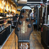 Ernie Ball Music Man John Petrucci Majesty Maple Top Spice Melange w/Bursted Maple Neck, MONO Case