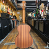 Taylor Academy 12e-N Nylon String Acoustic-Electric Guitar 2022 w/Padded Gig Bag