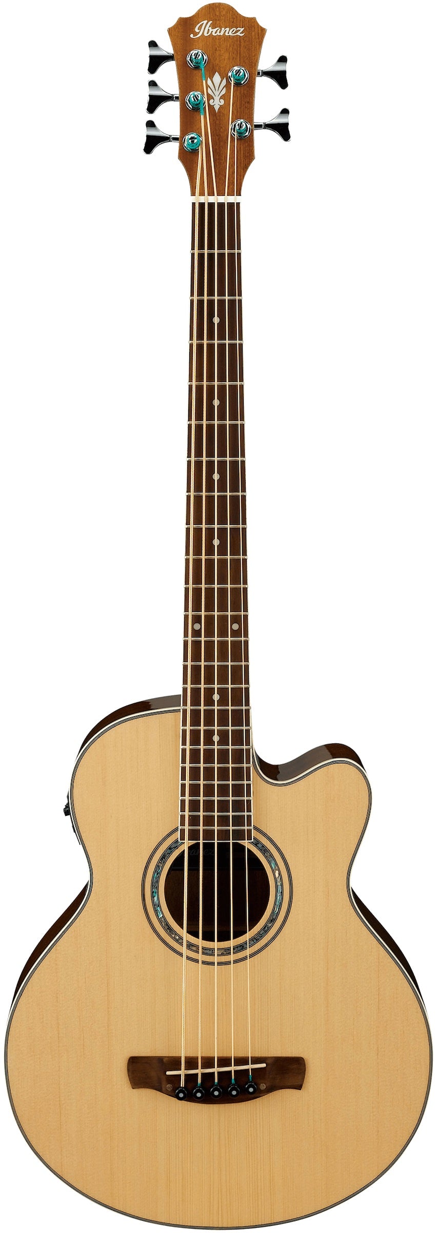 Acoustic 5 discount string bass