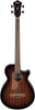 Ibanez AEGB24FE AEG Fretless Acoustic-electric Bass Guitar Mahogany Sunburst High Gloss