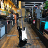 Fender Custom Shop Limited Edition '59 Stratocaster Journeyman Relic 2022 Aged Black w/Hard Case, All Materials