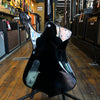 Ibanez Paul Stanley Signature PS120 Black