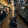 Ibanez Premium AZ47P1QM Electric Guitar Black Ice Burst w/Padded Gig Bag