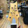 Paul Reed Smith SE Silver Sky Dragon Fruit w/Rosewood Fingerboard, Padded Gig Bag