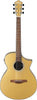 Ibanez AEWC10 Acoustic-Electric Dark Gold High Gloss